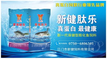 接近3萬畝面積受天氣影響,高郵地區羅氏沼蝦損失慘重 升溫后的池塘管理,如何做到損失最小化